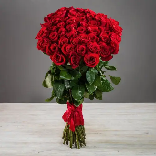 Букет из 51 красной эквадорской розы