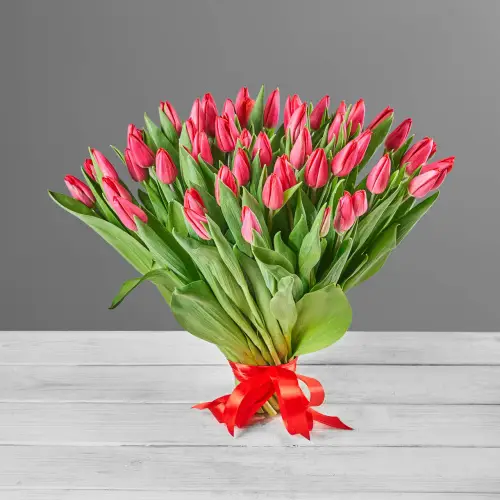 Букет из 51 красного тюльпана