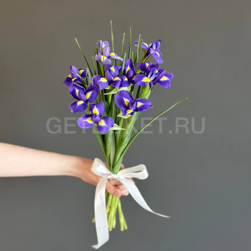 246951 Букет из 9 ирисов 
