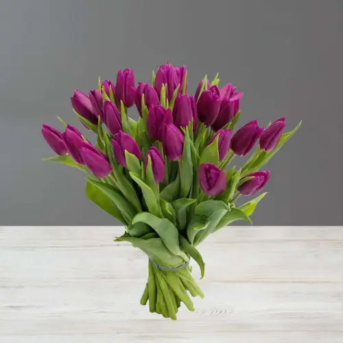 Букет из 25 сиреневых тюльпанов